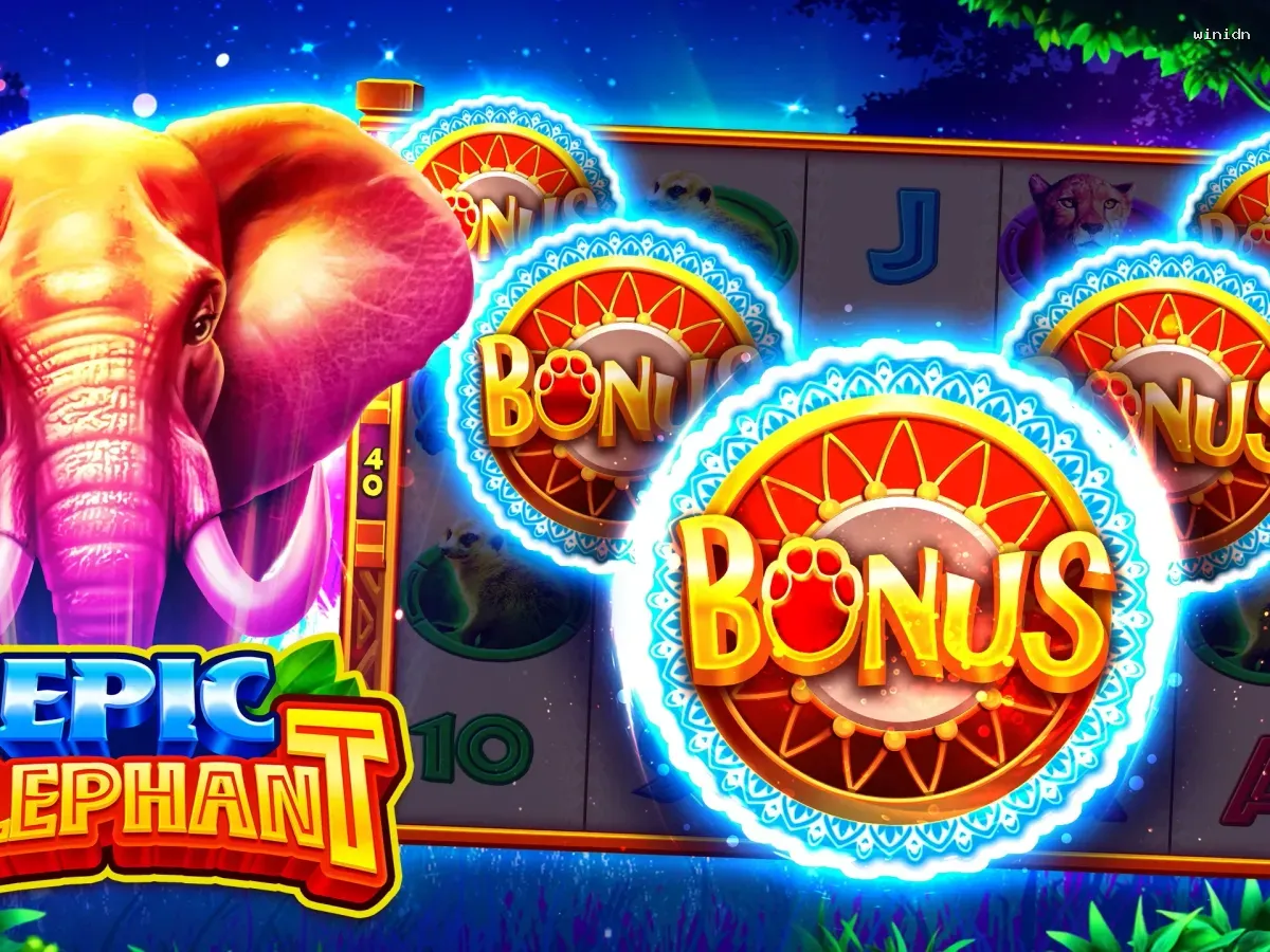 Akses winidn VIP Premium screenshot